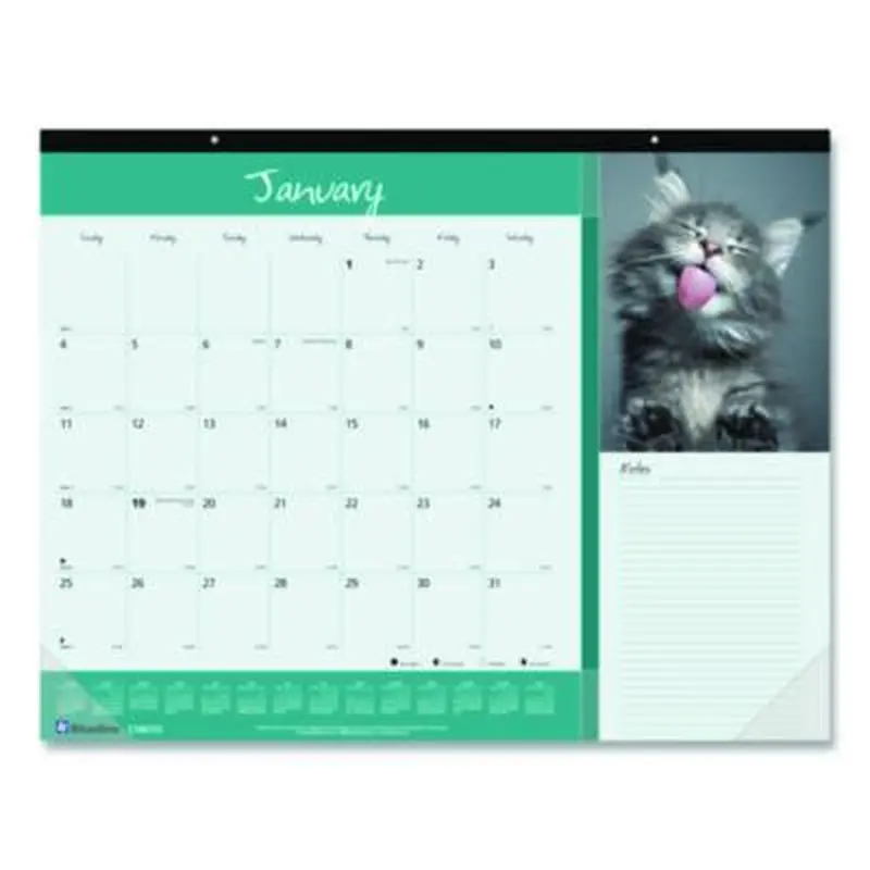 Pets Collection Monthly Desk Pad, Furry Kittens Photography, 22 x 17, White Sheets, Black Binding, 12-Month (Jan-Dec): 2026 - Desk Pad Calendars | Blueline