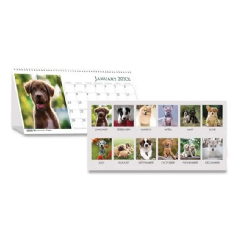 Earthscapes Recycled Desk Tent Monthly Calendar, Puppies Photography, 8.5 x 4.5, White Sheets, 12-Month (Jan to Dec): 2026 - Calendars | House of Doolittle