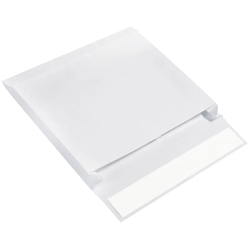10 x 13 x 2" Expandable Ship-Lite Envelopes (SLE10132WS) Case Of 100