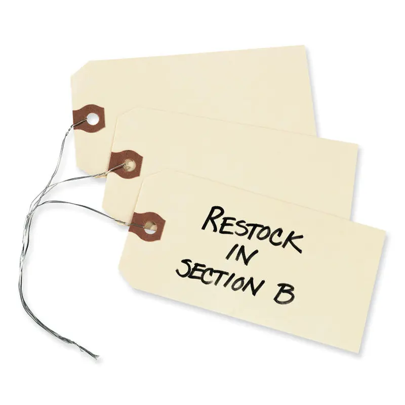 Avery Double Wired Shipping Tags, 11.5 pt Stock, 4.75 x 2.38, Manila, 1,000/Box (AVE12605) Box of 1000
