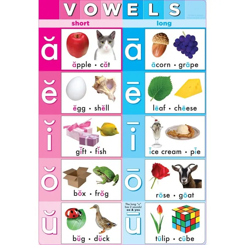 Ashley Smart Poly Chart Vowels, 13" X 19" (ASH91094)