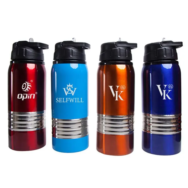 Stainless Steel Drinking Bottle With Thick Silver Strip500 