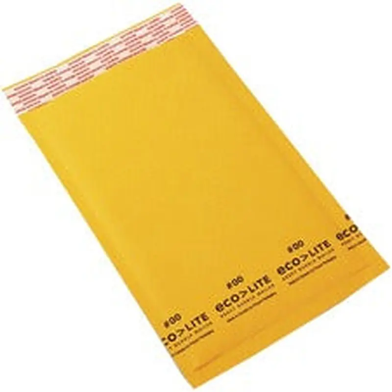 [#00] Ecolite Envelope Bubble Mailer