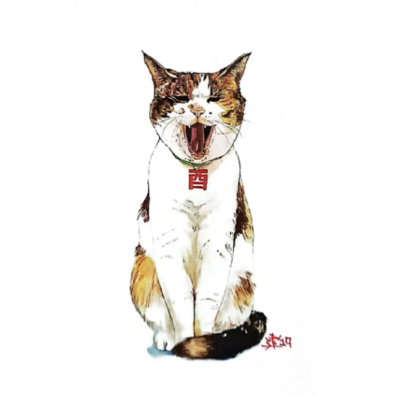 Yawn Cat - Postcard