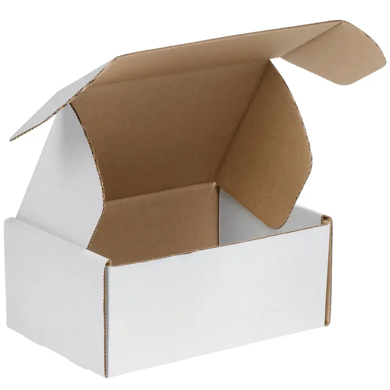 12 1/8 x 9 1/4 x 5 White Deluxe Literature Mailers 50/Bundle
