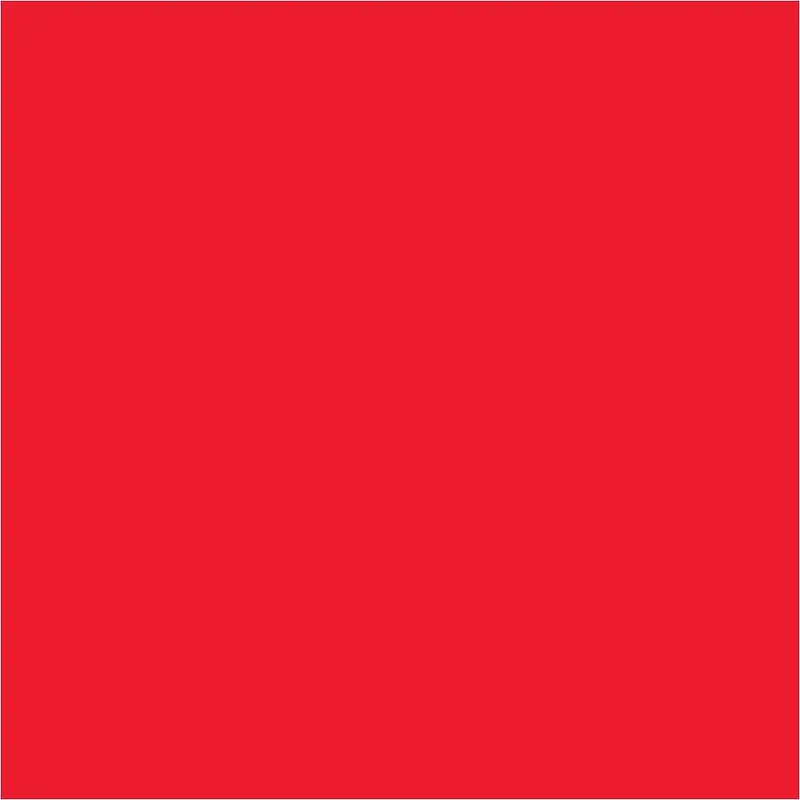 4 x 4" Fluorescent Red Inventory Rectangle Labels 500/Roll