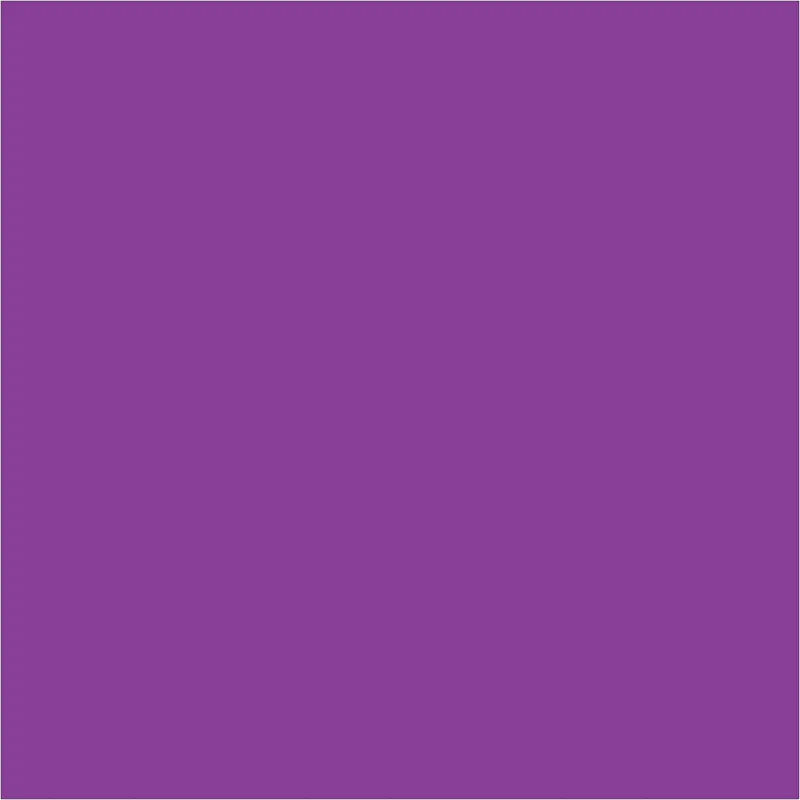 4 x 4" Purple Inventory Rectangle Labels 500/Roll