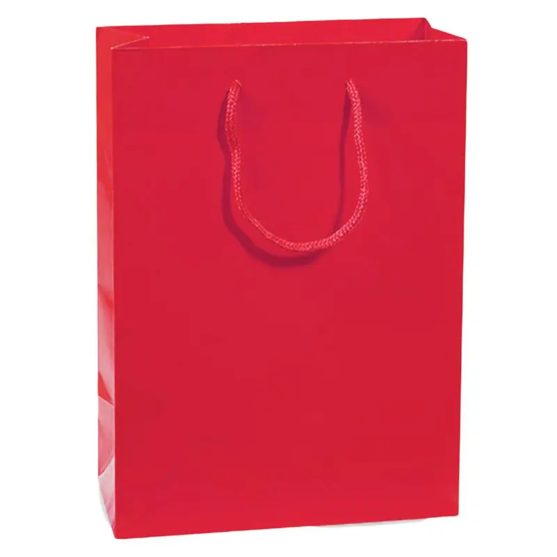 Big Gift Bag 53 x 35 / D-320AWatermelon