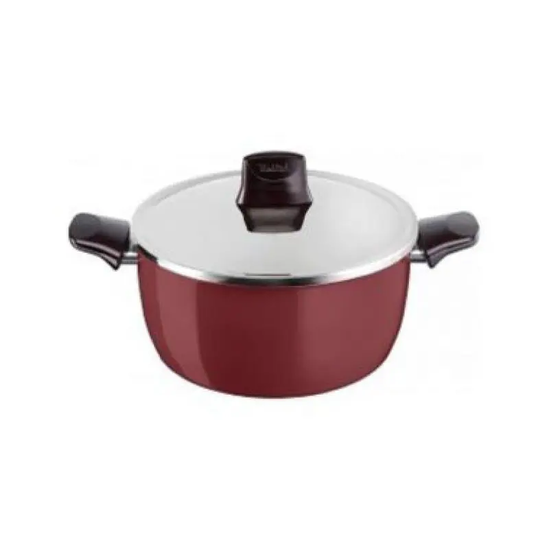 Tefal Pleasure Stewpan 24cm   Stainless Steel Lid / D5054652